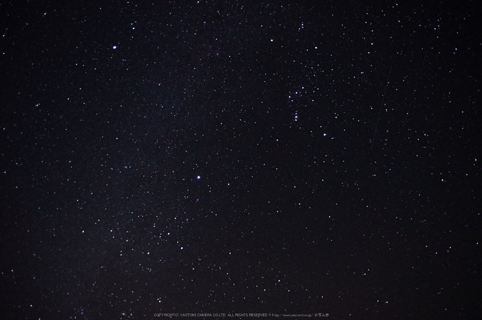 大台ヶ原,紅葉(K32_1147,15 mm,F4,iso1600)2015yaotomi_.jpg