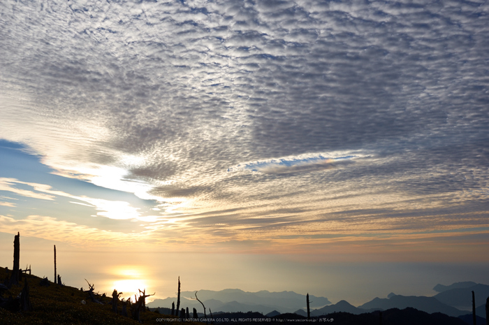 大台ヶ原,紅葉(K32_1339,24 mm,F8,iso100)2015yaotomi_.jpg