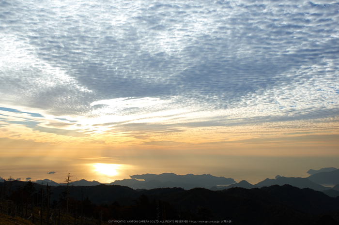 大台ヶ原,紅葉(K32_1365,24 mm,F7.1,iso100)2015yaotomi_.jpg