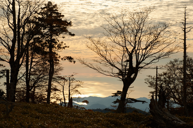 大台ヶ原,紅葉(K32_1396,53 mm,F8,iso100)2015yaotomi_.jpg