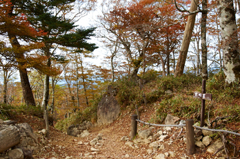 大台ヶ原,紅葉(K32_1510,24 mm,F2.8,iso100)2015yaotomi_.jpg