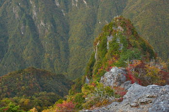 大台ヶ原,紅葉(K32_1563,24 mm,F6.3,iso100)2015yaotomi_.jpg