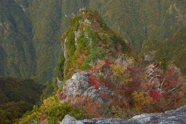 大台ヶ原,紅葉(K32_1571,24 mm,F8,iso100)2015yaotomi_.jpg