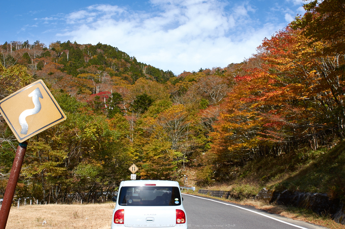 大台ヶ原,紅葉(K32_1894,24 mm,F7.1,iso100)2015yaotomi_.jpg