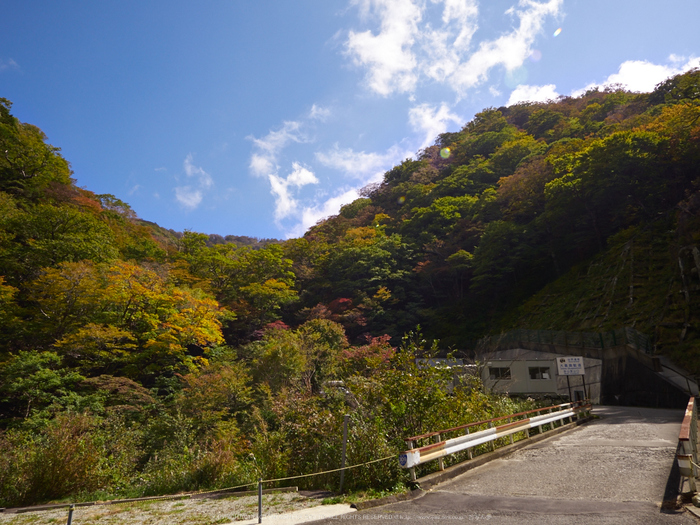 大台ヶ原,紅葉(P1070398,13 mm,F8)2015yaotomi_.jpg