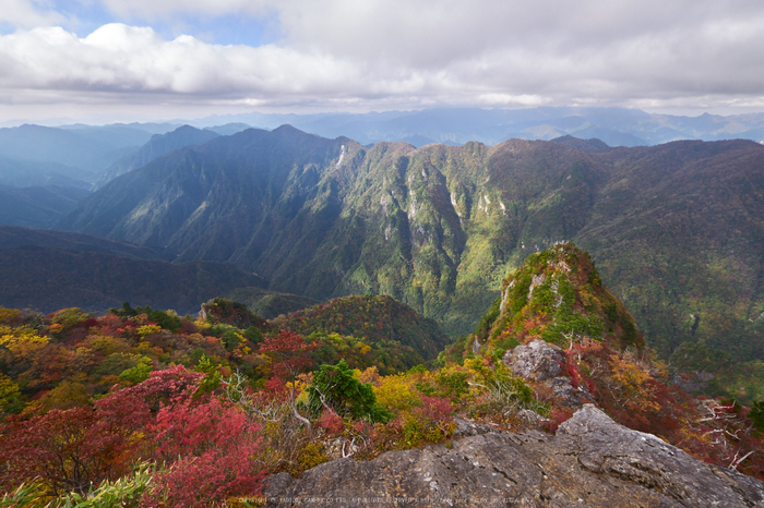 大台ヶ原,紅葉(P1070883,7 mm,F9,iso200)2015yaotomi_.jpg