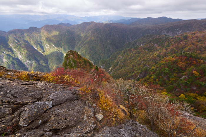 大台ヶ原,紅葉(P1070951,7 mm,F8,iso200)2015yaotomi_.jpg