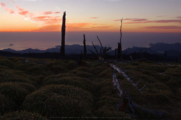 大台ヶ原,紅葉K32_1227_2_2015yaotomi.jpg