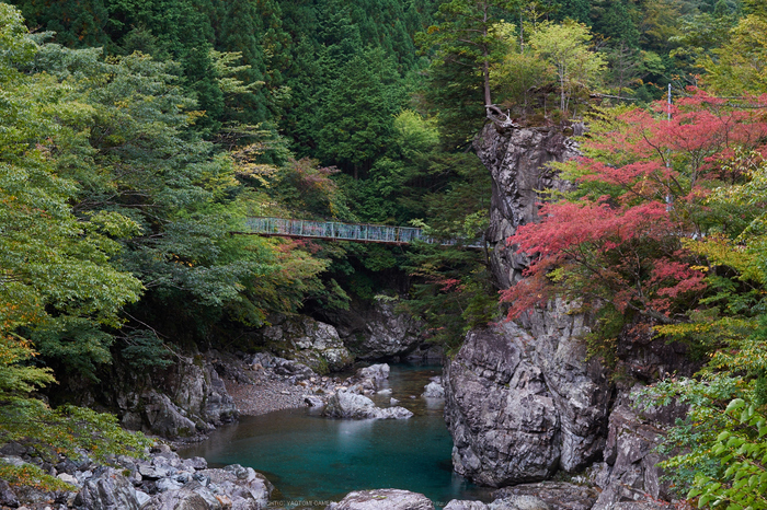 天ノ川,紅葉(DSCF4681,50 mm,F7.1,iso200)2015yaotomi_.jpg