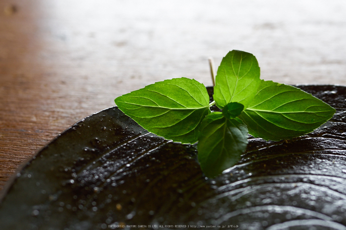 明日香ひょうひょう(P1080138,25 mm,F3.5,iso400)2015yaotomi_.jpg