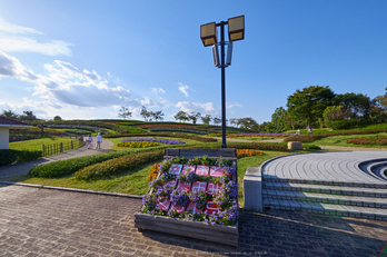 馬見丘陵公園(P1070419,7 mm,F13)2015yaotomi_ 1.jpg