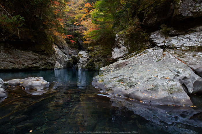 みたらい渓谷,紅葉(IMG_8641,20 mm,F7.1,iso400)2015yaotomi_.jpg