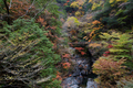 みたらい渓谷,紅葉(IMG_8674,20 mm,F7.1,iso200)2015yaotomi_ 1.jpg