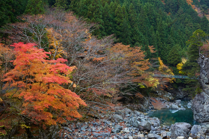 みたらい渓谷,紅葉(IMG_8775,50 mm,F7.1,iso160)2015yaotomi_ 1.jpg