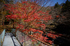 天ノ川渓谷,紅葉(IMG_8506f,20 mm,F1.4,100)2015yaotomi_.jpg