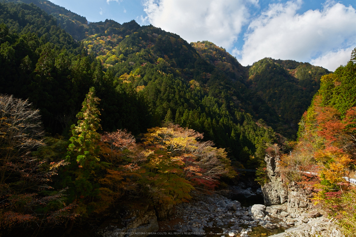 天ノ川渓谷,紅葉(IMG_8597,20 mm,F8,iso100)2015yaotomi_.jpg