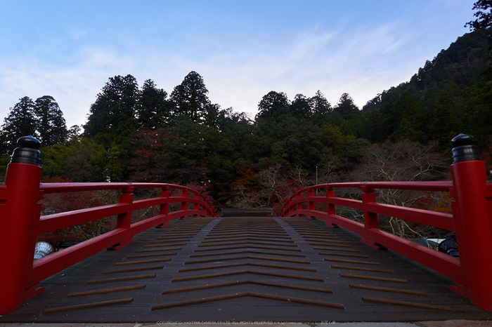 室生寺,紅葉(PB190022,12 mm,F6.3,iso200)2015yaotomi_.jpg