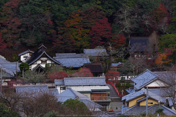 室生寺,紅葉(PB190032,70 mm,F6.3,iso200)2015yaotomi_.jpg