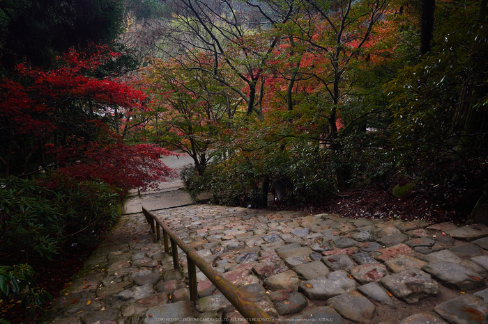 室生寺,紅葉(PB190076,12 mm,F5,iso200)2015yaotomi_.jpg