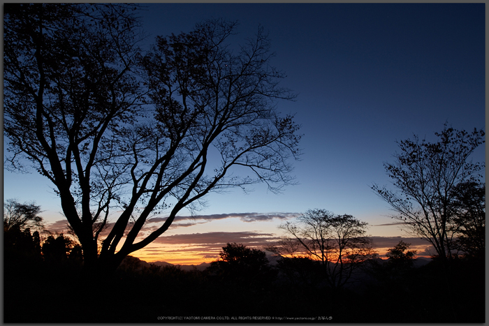 屏風岩公苑,紅葉(IMG_8232,20-mm,F5.6,iso100)2015yaotomi_T.jpg