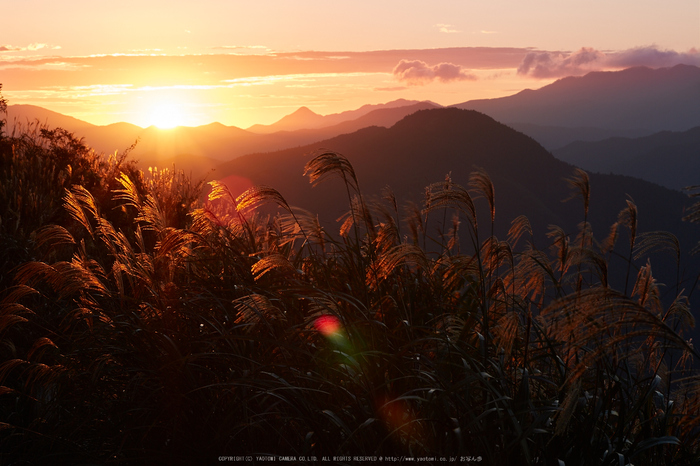 屏風岩公苑,紅葉(IMG_8270,85 mm,F13,iso100)2015yaotomi_.jpg