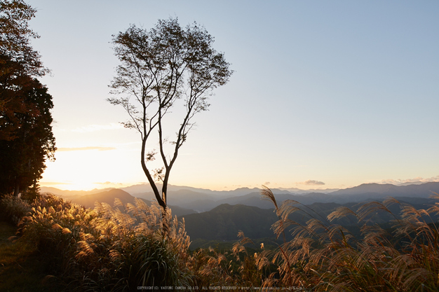 屏風岩公苑,紅葉(IMG_8288,20 mm,F5,iso100)2015yaotomi_ 1.jpg