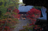 神護寺,紅葉(K32_2992,55 mm,F9,iso400)2015yaotomi_ 1.jpg