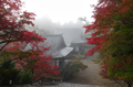 神護寺,紅葉(K32_3122fs(2),18 mm,F10,iso100)2015yaotomi_ 1.jpg