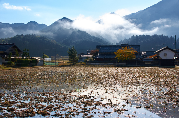 神護寺,紅葉(K32_3211,28 mm,F10,iso100)2015yaotomi_ 1.jpg