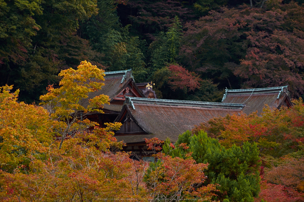 談山神社,紅葉(K32_3502,150 mm,F8,iso200)2015yaotomi_.jpg