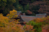 談山神社,紅葉(K32_3502f,150 mm,F8,iso200)2015yaotomi_.jpg