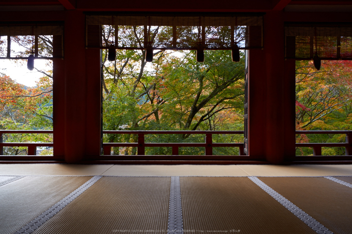 談山神社,紅葉(K32_3672,18 mm,F9,iso100)2015yaotomi_.jpg