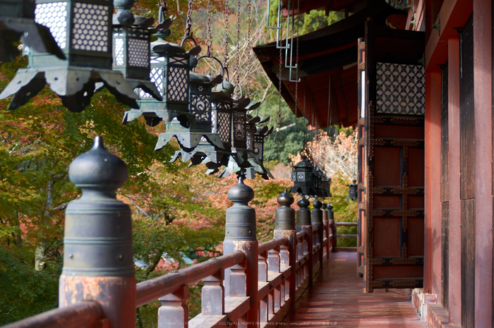 談山神社,紅葉(K32_3683,63 mm,F4.5,iso100)2015yaotomi_.jpg