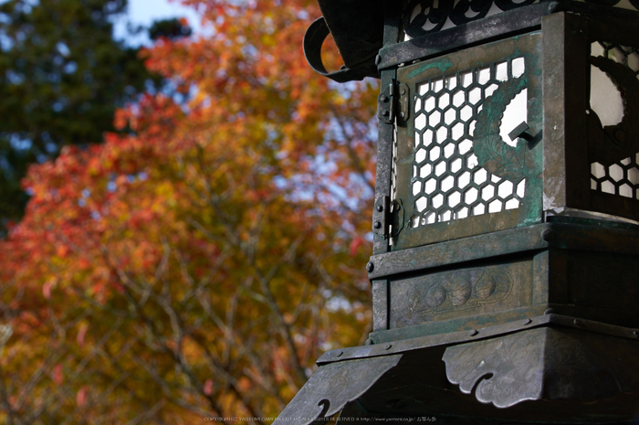 談山神社,紅葉(K32_3691,80 mm,F13,iso100)2015yaotomi_.jpg