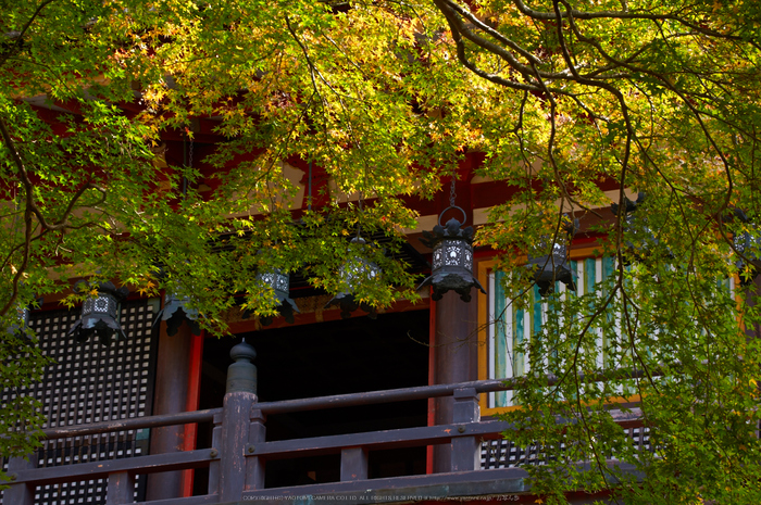 談山神社,紅葉(K32_3699,70 mm,F9,iso100)2015yaotomi_.jpg