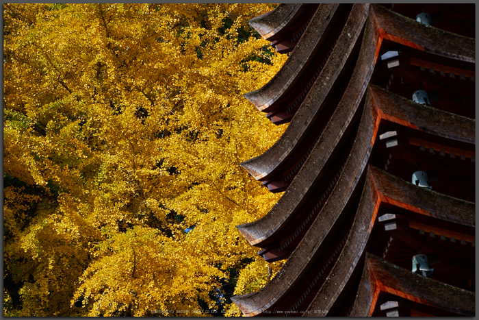 談山神社,紅葉(K32_3745T,128-mm,F9,iso100)2015yaotomi_.jpg
