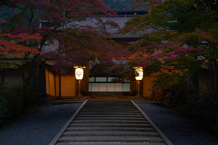 高野山,紅葉(K32_2452,50 mm,F11,iso200)2015yaotomi_.jpg