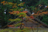 高野山,紅葉(K32_2553RRf,60 mm,F13,iso100)2015yaotomi_.jpg