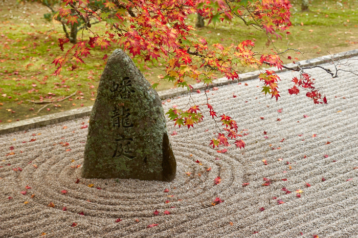 高野山,紅葉(K32_2712,48 mm,F3.2,iso400)2015yaotomi_.jpg