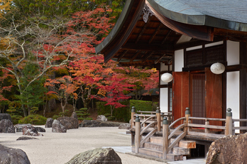 高野山,紅葉(K32_2723,53 mm,F11,iso100)2015yaotomi_.jpg