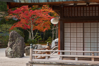 高野山,紅葉(K32_2739,70 mm,F8,iso100)2015yaotomi_.jpg