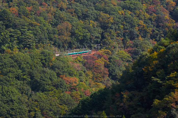 高野山,紅葉(K32_2761,55 mm,F8,iso400)2015yaotomi_.jpg