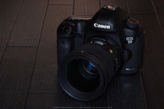 お写ん歩: SIGMA 85mm F1.4 EX DG HSMアーカイブ