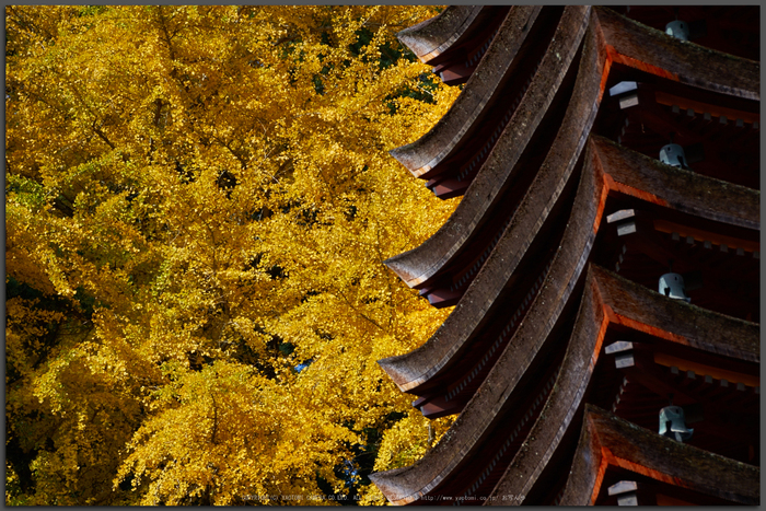 談山神社 奈良紅葉 2015 ／ SIGMA 18-300mm F3.5-6.3 DC MACRO HSM