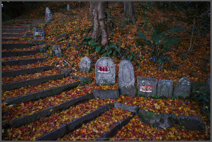 九品寺,紅葉(DP0Q0099,14-mm,F5.6)2015yaotomi_T.jpg