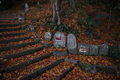 九品寺,紅葉(DP0Q0099f,14 mm,F5.6)2015yaotomi_.jpg