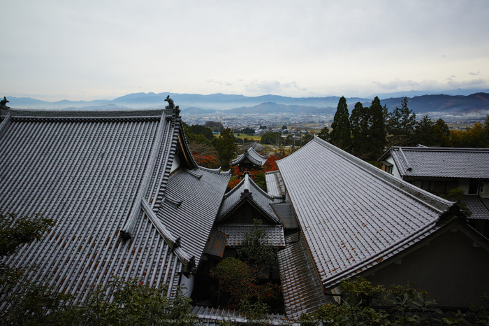 九品寺,紅葉(DP0Q0473,14 mm,F5.6)2015yaotomi_.jpg