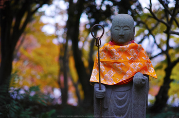 九品寺,紅葉(DP3Q1314,50 mm,F2.8)2015yaotomi_.jpg