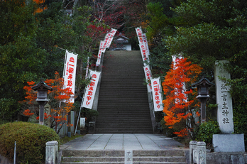 九品寺,紅葉(DP3Q1366,50 mm,F2.8)2015yaotomi_.jpg