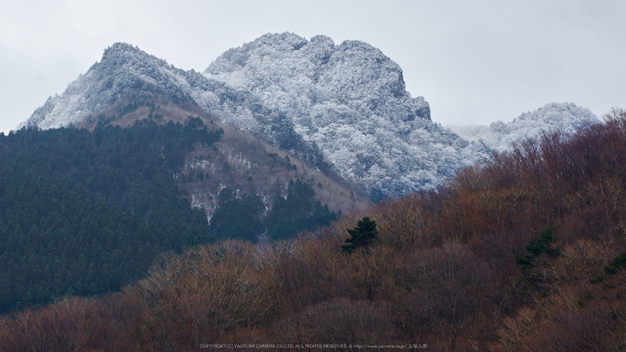 奈良,大峯山系,雪景(K32_4523,113 mm,F9,iso100)2015yaotomi_.jpg